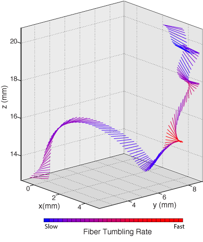 Fig. 1 (Click to enlarge). The plot above shows an experimentally measured trajectory of a fiber moving in intense turbulence, as it simultaneously moves, flips, and twists, much like a gymnast performing a floor routine. The individual rods show the orientation of the fiber at each point, with a red color indicating faster rotation speed. 