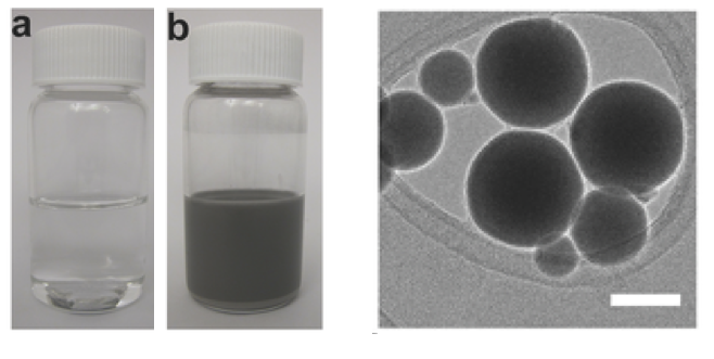 Fig. 1 (Click to enlarge). The image on the left shows the gallium alloy in ethanol (a) before sonication, and (b) after sonication. The image on the right is a transmission electron micrograph (TEM) of liquid gallium nanopartices; the scale bar is 50 nanometers.