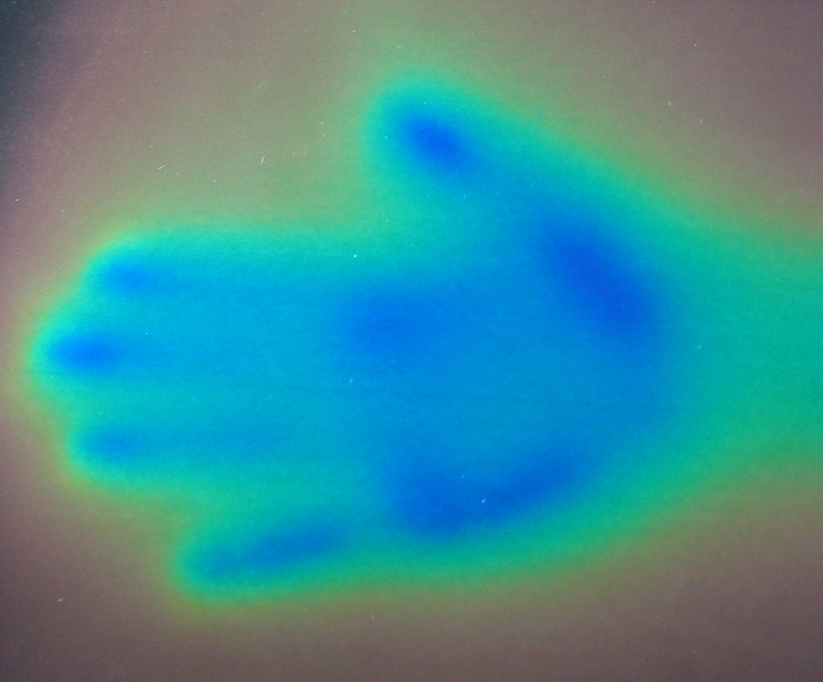 Liquid Crystal handprint