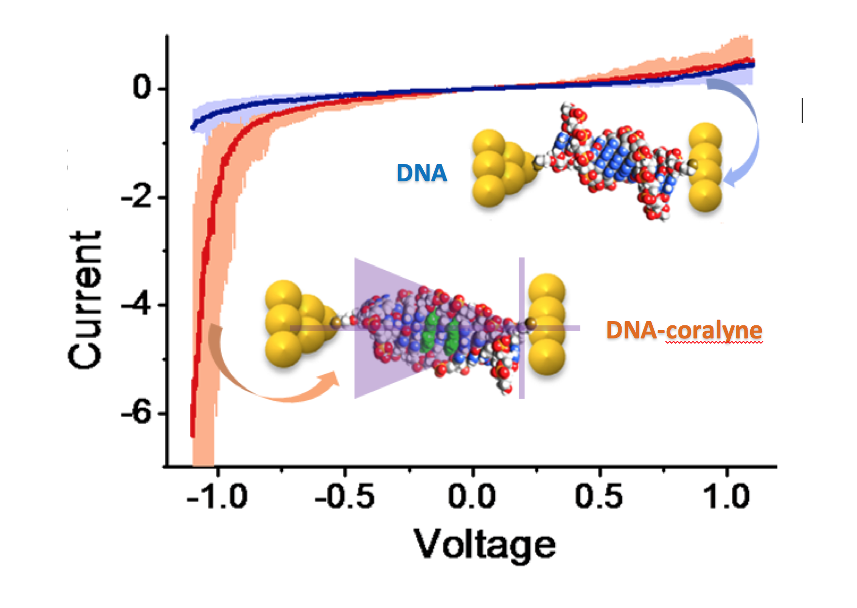 Fig. 3 (Click to enlarge). While the current through the original DNA molecule stays essentially the same regardless of the voltage applied (blue line), the current through the DNA molecule with intercalated coralyne changes dramatically with negative or positive voltage (red line). This is a necessary feature of a nanodiode.