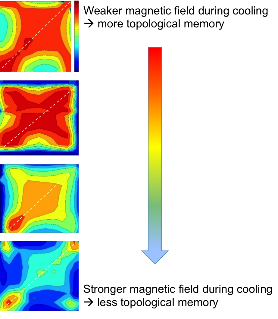 Fig. 3 (Click to enlarge). This figure shows a selection of correlation maps measured in different cooling conditions. Each map shows the amount of magnetic domain memory throughout the magnetization process, with the color red being high and color blue being low. What changes from the top map to the bottom map is the strength of the magnetic field during cooling. This shows the gradual loss of magnetic memory as the magnitude of the cooling field is increased.