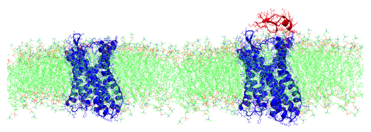 protein binding cover image