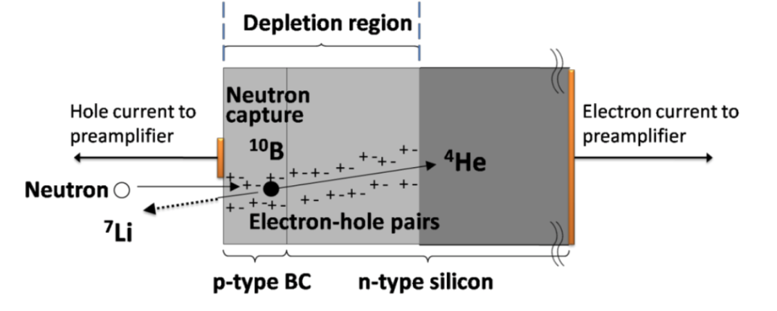 In capturing neutrons, a boron carbide semiconductor creates reaction products that produce measurable charge pulses.