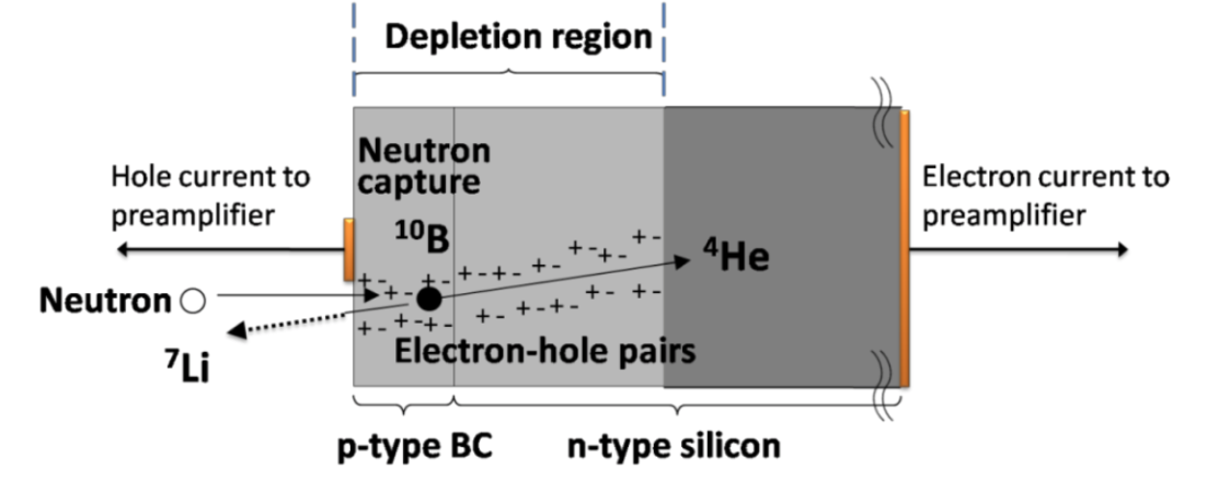 neutron radiation charge