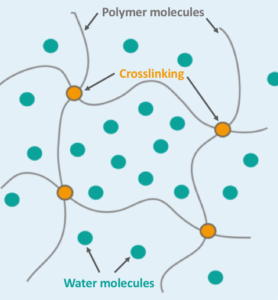 Bioelectricity, Reimagined - FunsizePhysics