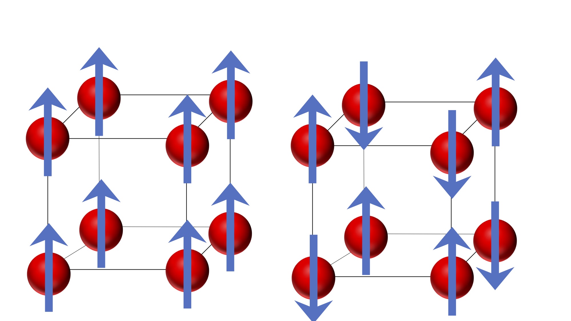 In a ferromagnet (left), the magnetic moments of the atoms point in one direction.  In an antiferromagnet (right), the magnetic moments alternate. 