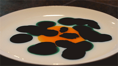 Fig. 4 (Click to enlarge). When a soap-covered cotton swab is dipped into a mixture of milk and food coloring, it breaks the surface tension and generates a flow away from the soap. Animation by Nicole Sharp.