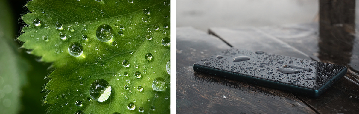 Fig. 3 (Click to enlarge). Some surfaces, like those of many leaves and insects, have microscopic, hairy structures that make them water-repellent, or hydrophobic (left). On these surfaces, water tends to bead up and fall off easily. In contrast, smooth surfaces like glass are hydrophilic, literally 