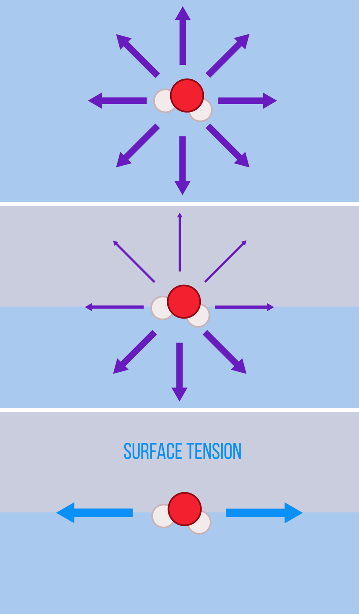 surface tension of water molecules