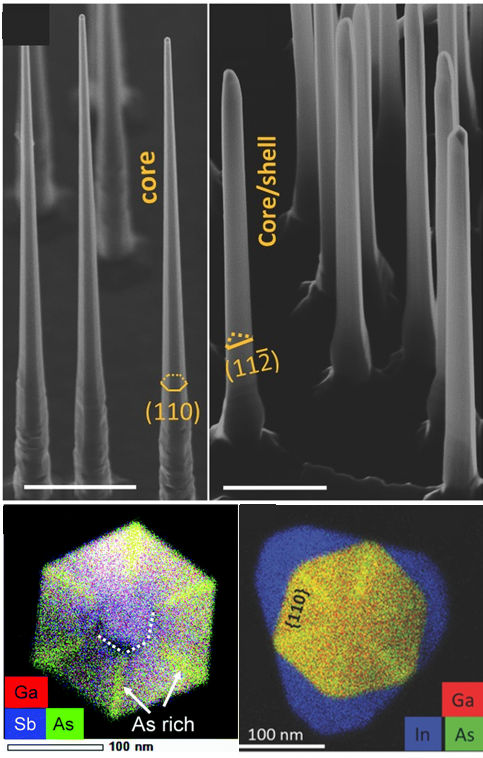 The nanowires grown for this study are so small we can only see them with an electron microscope! On the left, we see the uncoated GaAsSb nanowires (top) and a cross-section of an uncoated wire (bottom). On the right, we see the GaAsSb nanowires coated with an InP shell (top) and a cross-section of a coated wire (bottom). The cross-section images are color-coded to show where atoms of different elements are located. To see how the nanowires are grown, check out the video below!