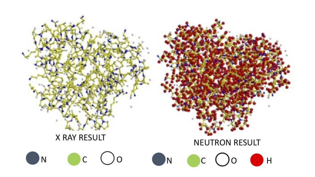Fig. 3  Compare these two images of myoglobin, a biological protein that provides oxygen to muscles. The image on the right, produced by neutron scattering, shows all the hydrogen atoms in the molecular structure. These hydrogen atoms are missing from the image on the left, obtained from x-ray scattering, because x-rays interact very weakly with and are therefore unable to 