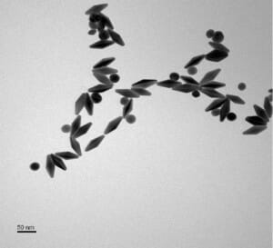 Fig. 2 (Click to enlarge). Electron microscope image of the bipyramidal gold nanoparticles used in these experiments.