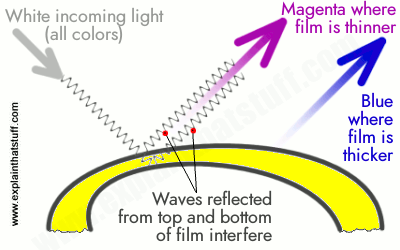 Fig. 2 (Click to enlarge). 